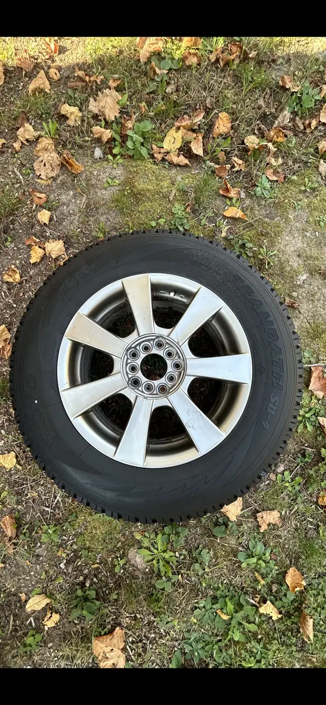 winter tires in Tires & Rims in Peterborough - Image 2