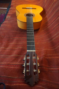 Andres Dominguez Flamenco Guitar
