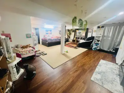 Shared Walkout Basement for Rent – Pickering (Near Finch & Brock Rd) Looking for a clean and respons...