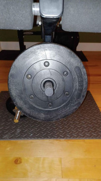 Bench Musculation Multi-options + barre et des poids haltères