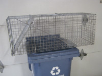 LARGE Live-Release Animal Trap