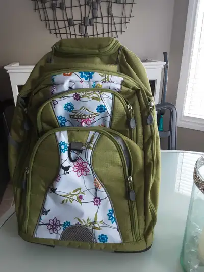 Excellent condition used once to bring home gifts,very clean great color many compartments .Please e...