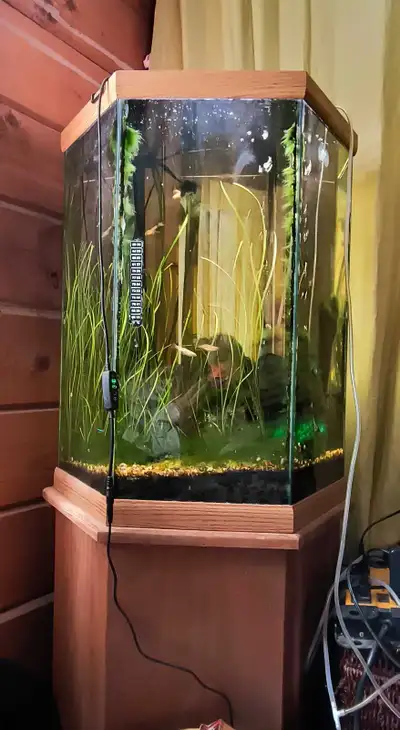 30 gallon tank with pedestal and glass cover. It's going to be empty and washed before it goes. Pick...