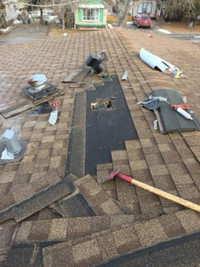 Roof Repair & Siding Repair Expert 