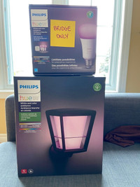 Philips HUE Econic White and Colour Ambiance Outdoor Fixture