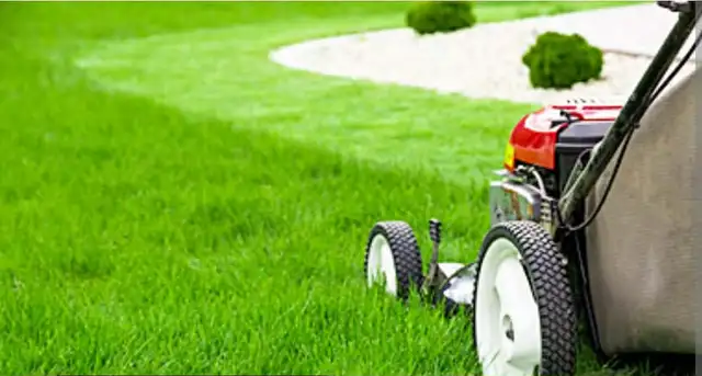 lawn care grass cut in Lawn, Tree Maintenance & Eavestrough in Windsor Region - Image 2