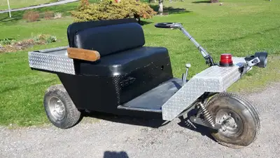 Full aluminum checkerplate body, electric golfcart. I got it on a trade with plans for it but i have...