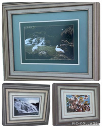 Framed photo pictures x 3