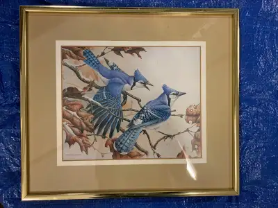 Two Blue Jays, Framed Print, View more