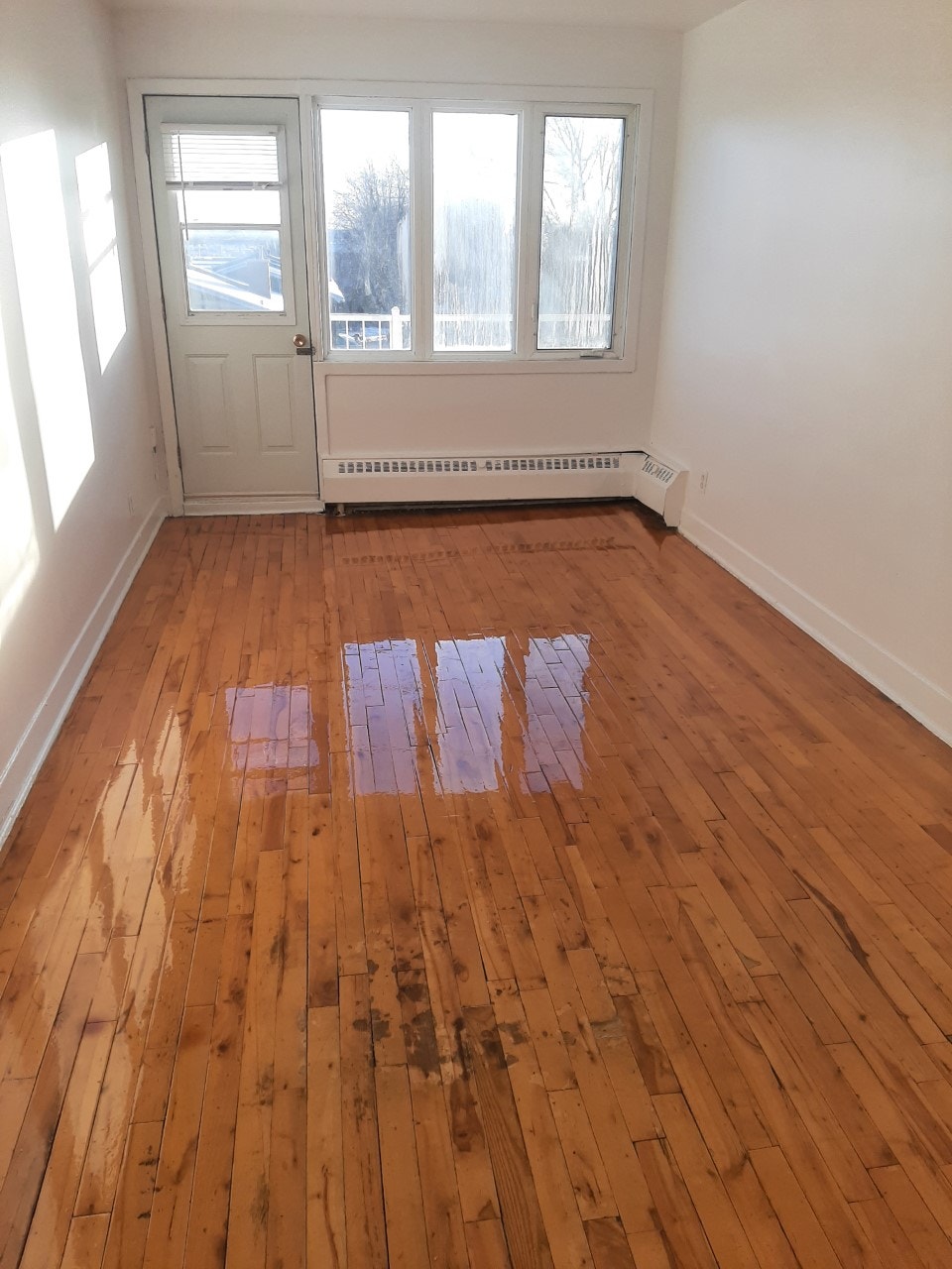 Lasalle Grand 4 ½ disponible pour maintenant ou septembre. — photo 2