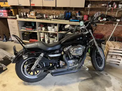 1200 sportser. Low kms. Clean BC registration New pipes. Perfect 1200 Ready for riding and build pro...