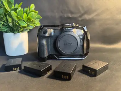 Canon R8/Lens/DJI/Extras, View more
