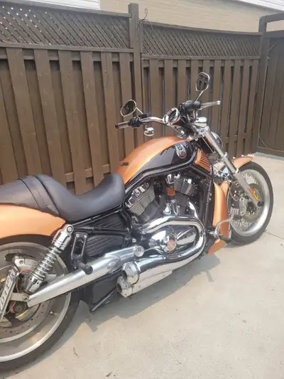 2008 Anniversary V-ROD with 17,572kms Beautiful Lady riden bike. Never dropped or tipped over. Alway...