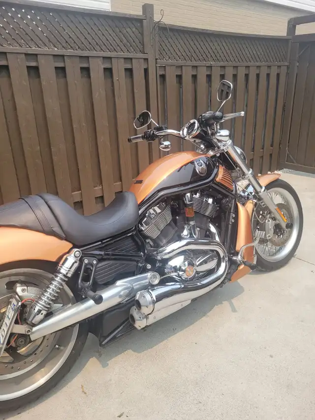 2008 Harley Davidson Anniversary V-ROD in Street, Cruisers & Choppers in Oshawa / Durham Region - Image 2