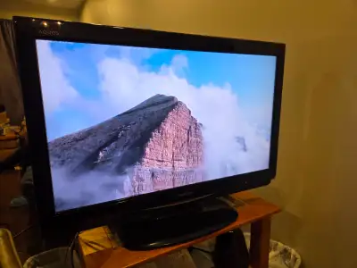Used TV in a non smoking adult house, was a secondary tv in the guest room so it didn't get a lot of...