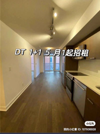 Financial district DT 1+1 for rent available immediately