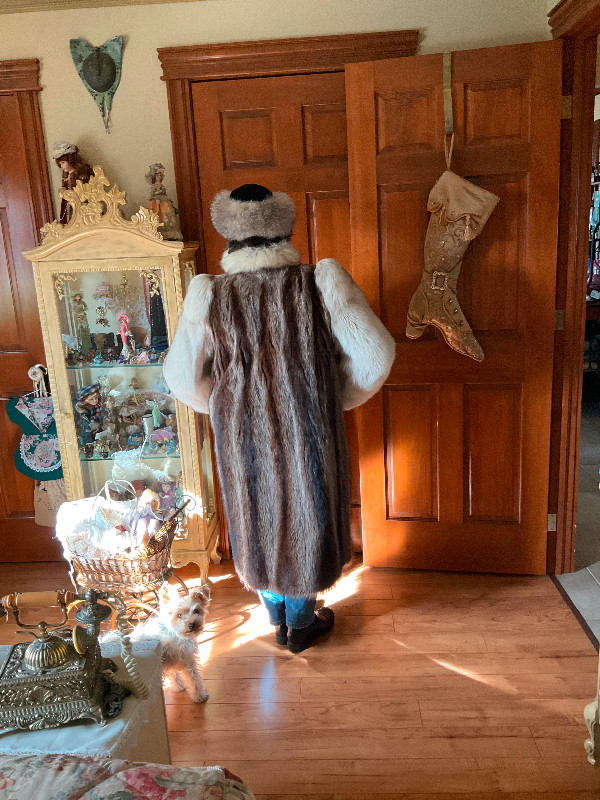 Manteau de fourrure tuxedo raton laveur et renard argenté 16 ans dans Femmes - Hauts et vêtements d'extérieur  à Granby - Image 2