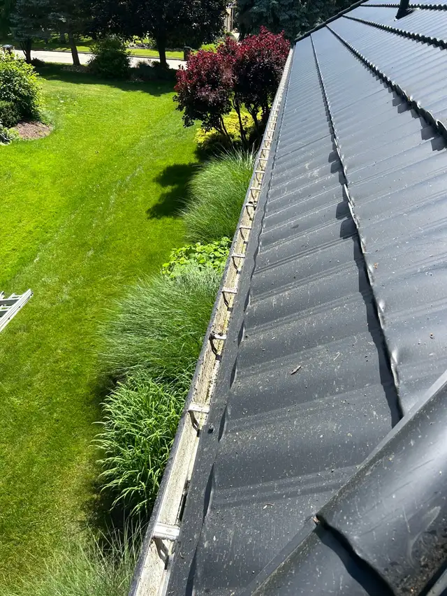 Professional Gutter & Window Cleaning Services492697908046080001