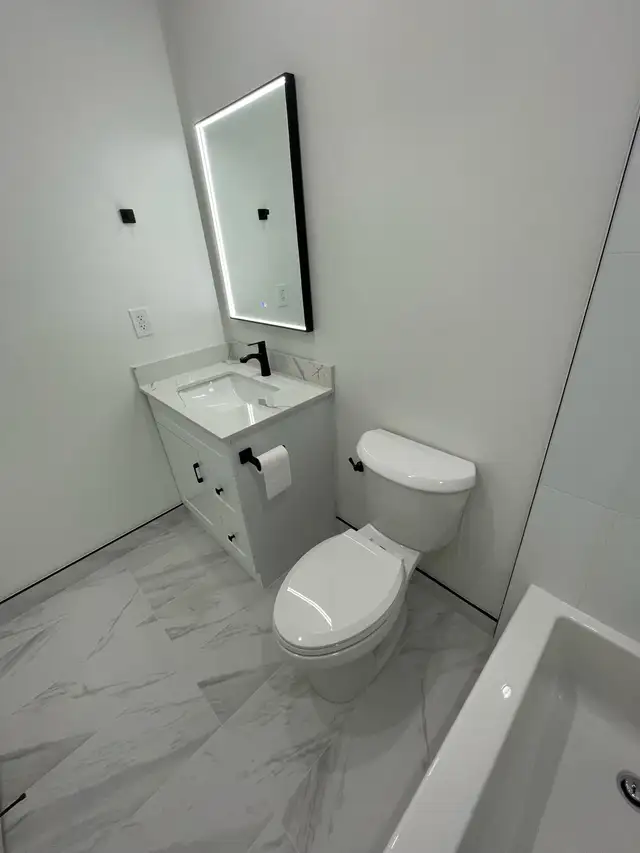 Bathroom Renovation 