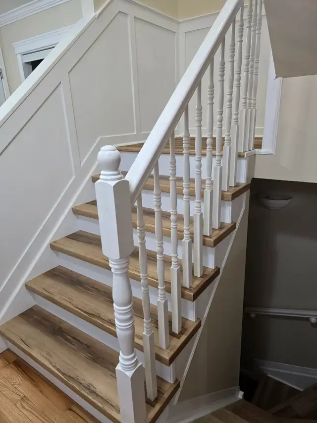 RENAUD RENOS64519986863619123