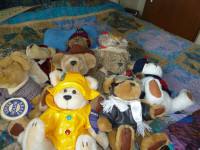 Safeway Bear Collection