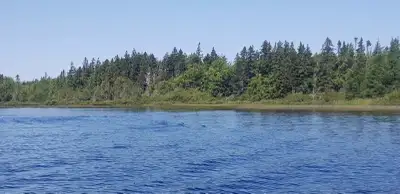 Beautiful 42 acres of escape to nature and solitude. Camp run for propane and wood with a beautiful...