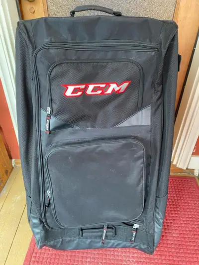 Barely used. Purchased for $150 plus tax. It is designed for adult size gear. Perfect shape.