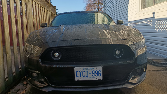 Ford Mustang V6 2017 in Cars & Trucks in Kitchener / Waterloo - Image 2