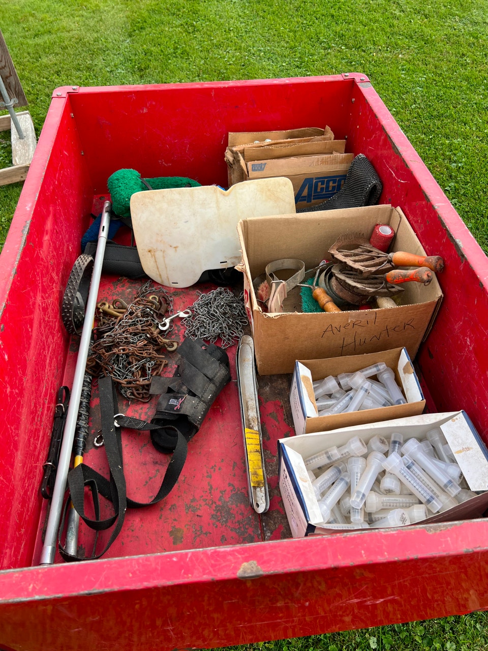 LIVE Stock | Livestock | Fredericton | Free local classifieds - Kijiji
