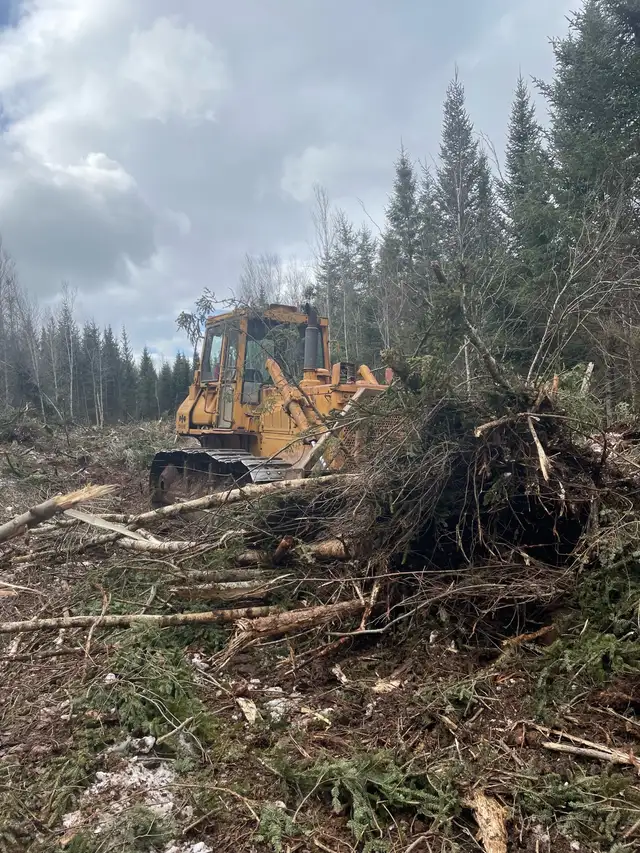 land clearing, road building, drainage62863226705155121