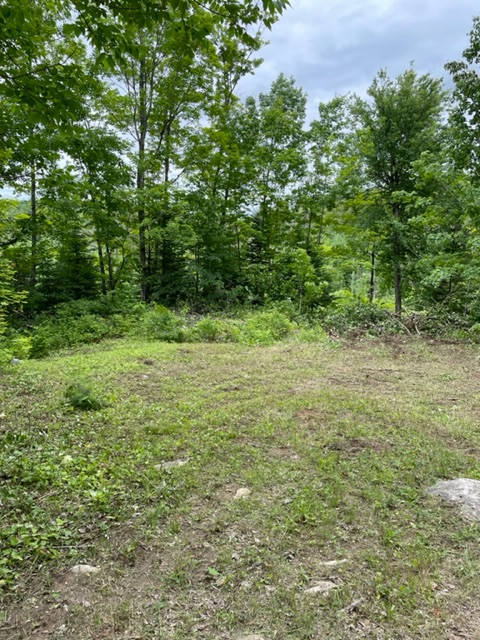 34 Acres - Terrain boisé / Wooded Land in Land for Sale in Gatineau - Image 3