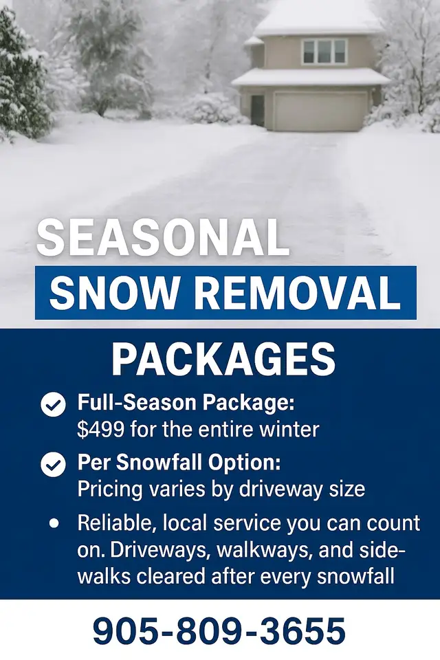 SNOW REMOVAL64385359217409120