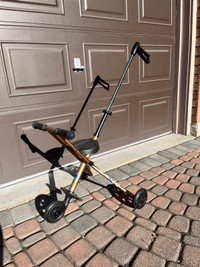 Micro Trike Stroller - Deluxe Gold for kids and toddlers 