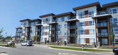 New, modern 2 Bed, 2 full Bath ,Condo with Ocean Views| 1,046 sq. ft. | 3rd Floor| Available from Au...