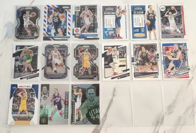 Bojan Bogdanovic basketball cards , View more