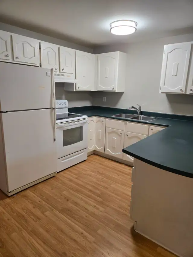 One Bedroom Basement Apartment