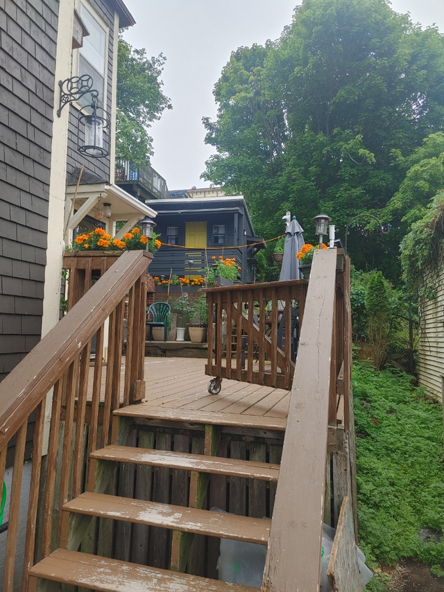 COZY TREE HOUSE in New Brunswick in Canada - Image 11
