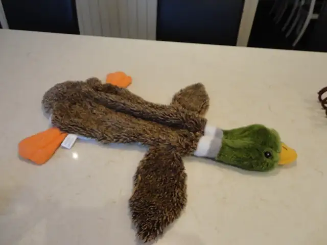 Cute Plush Duck Dog Cat Toy in great shape, stuff with anything in Accessories in Kitchener / Waterloo - Image 2