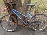 Free Bicycle needs work.