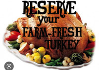 Farm raised free run Turkeys