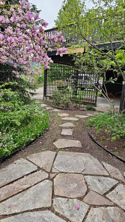 Available May 1 Seeking female roommate. The Space: • Basement suite with private entrance • High, s...