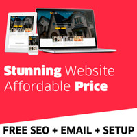 LOCAL EXPERT IN SEO AND WEBSITE DESIGN $499
