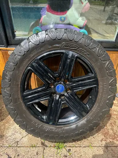 Rims are in great condition 6x135mm bolt pattern 20 inch rims Tires are probably not good to use Msg...