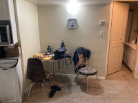 Edson AB Furnished Basement Suite for Rent Avail June 1