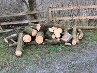 Hardwood  firewood logs 2’lg - 4’ lg