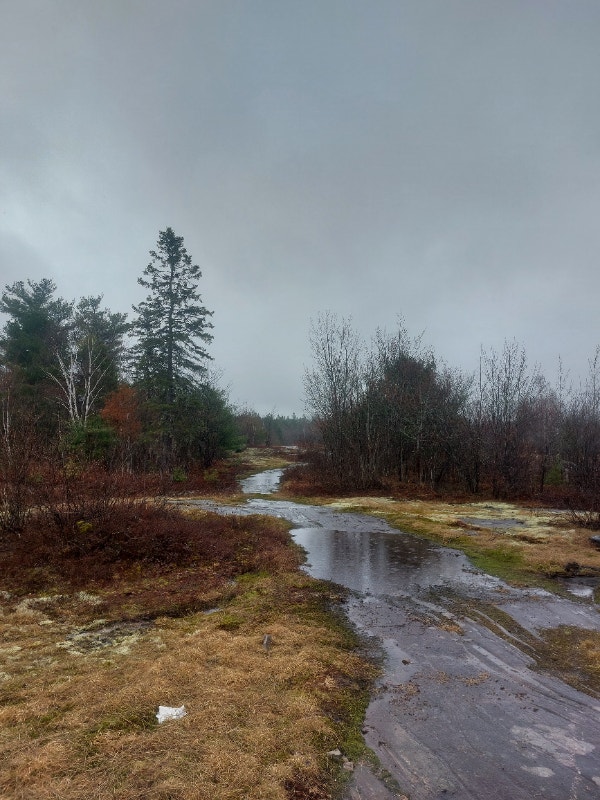 Hobby farm with 320 acres, This gem won't last long Must see! Houses