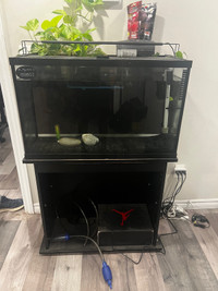 30Gal fish tank with Stand & Complete accessories.