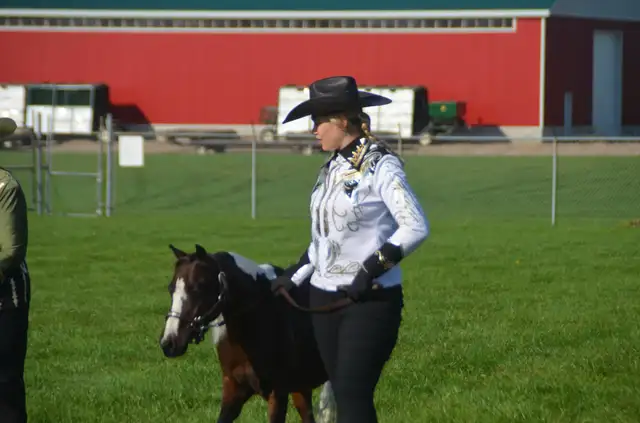 miniature mare for sale in Horses & Ponies for Rehoming in Oshawa / Durham Region - Image 9