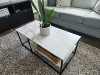 Marble Design Coffee Table