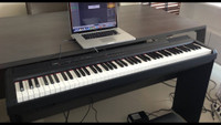 Very Professional High Quality Yamaha P105 Piano
